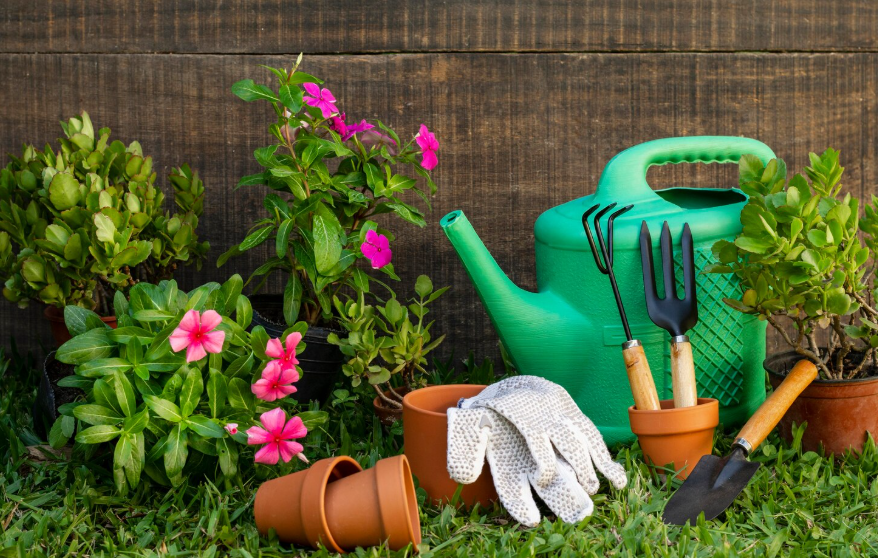 Everything You Should Know to Become a Hobby Gardener
